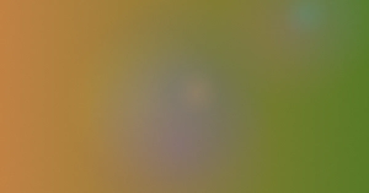 崔波推荐：新手选哪版